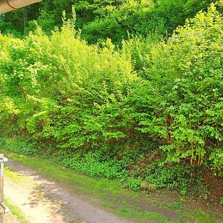 La Demeure Des Forges Lägenhet Grandfontaine  Exteriör bild