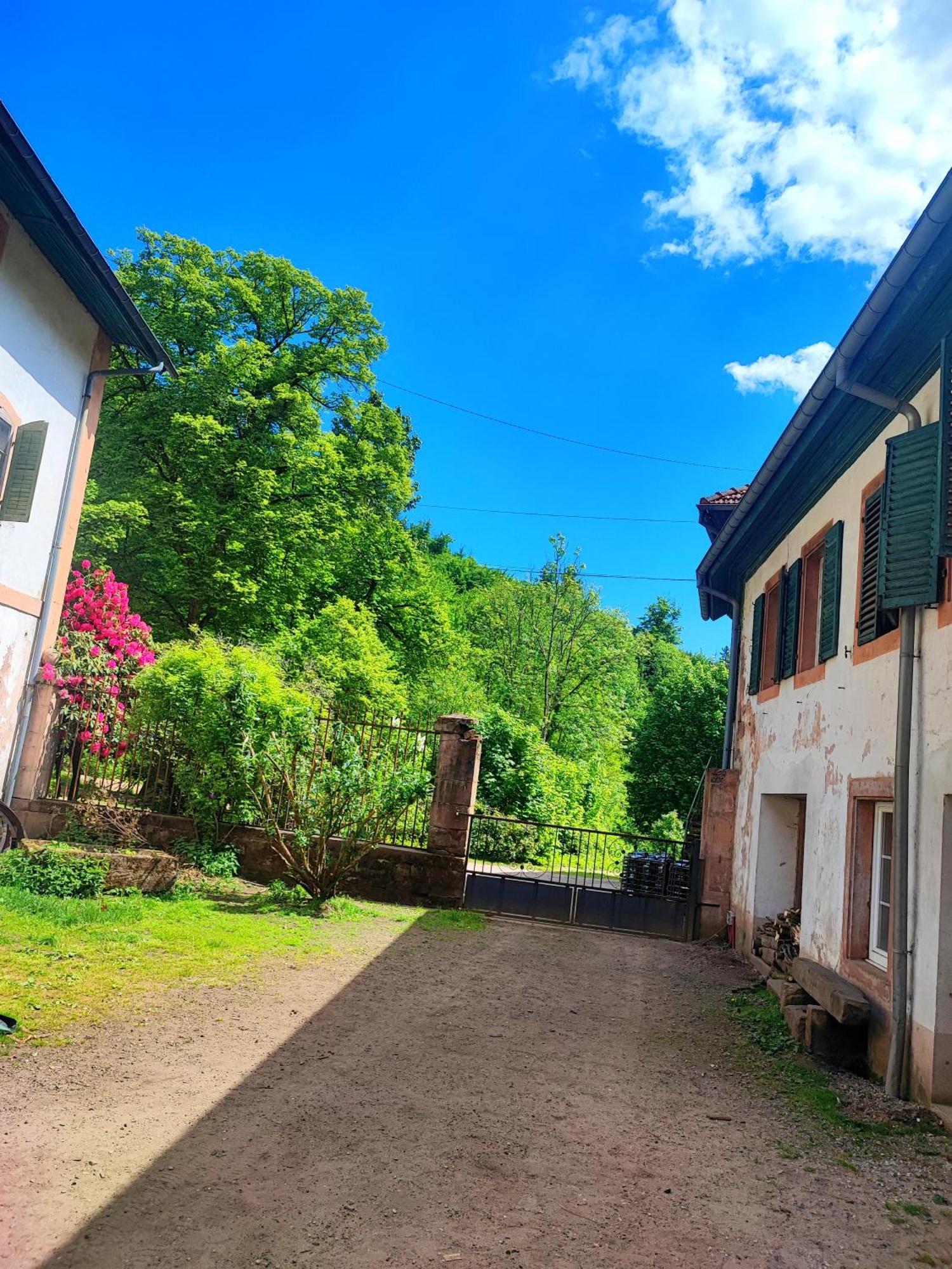 La Demeure Des Forges Lägenhet Grandfontaine  Exteriör bild