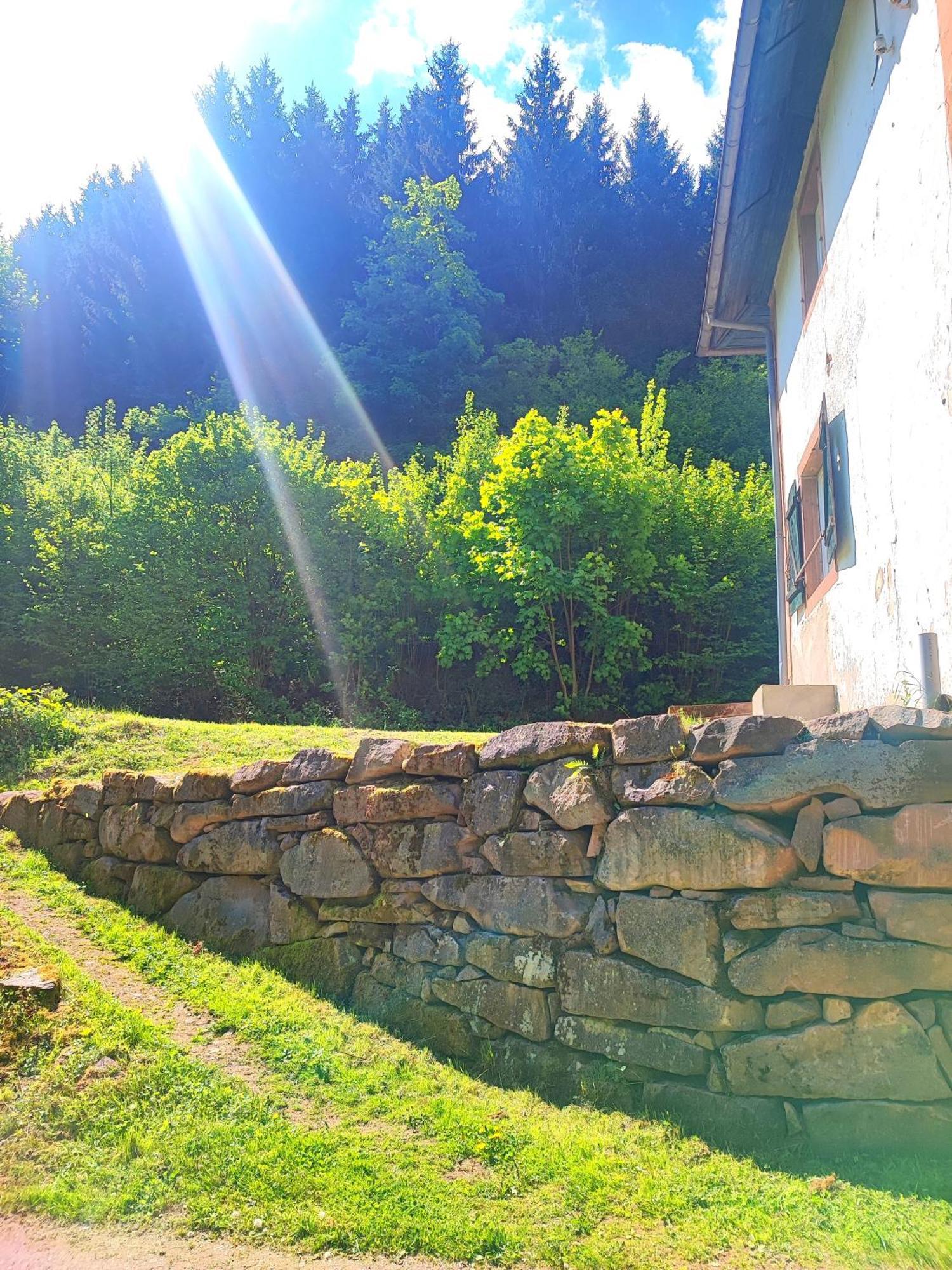 La Demeure Des Forges Lägenhet Grandfontaine  Exteriör bild