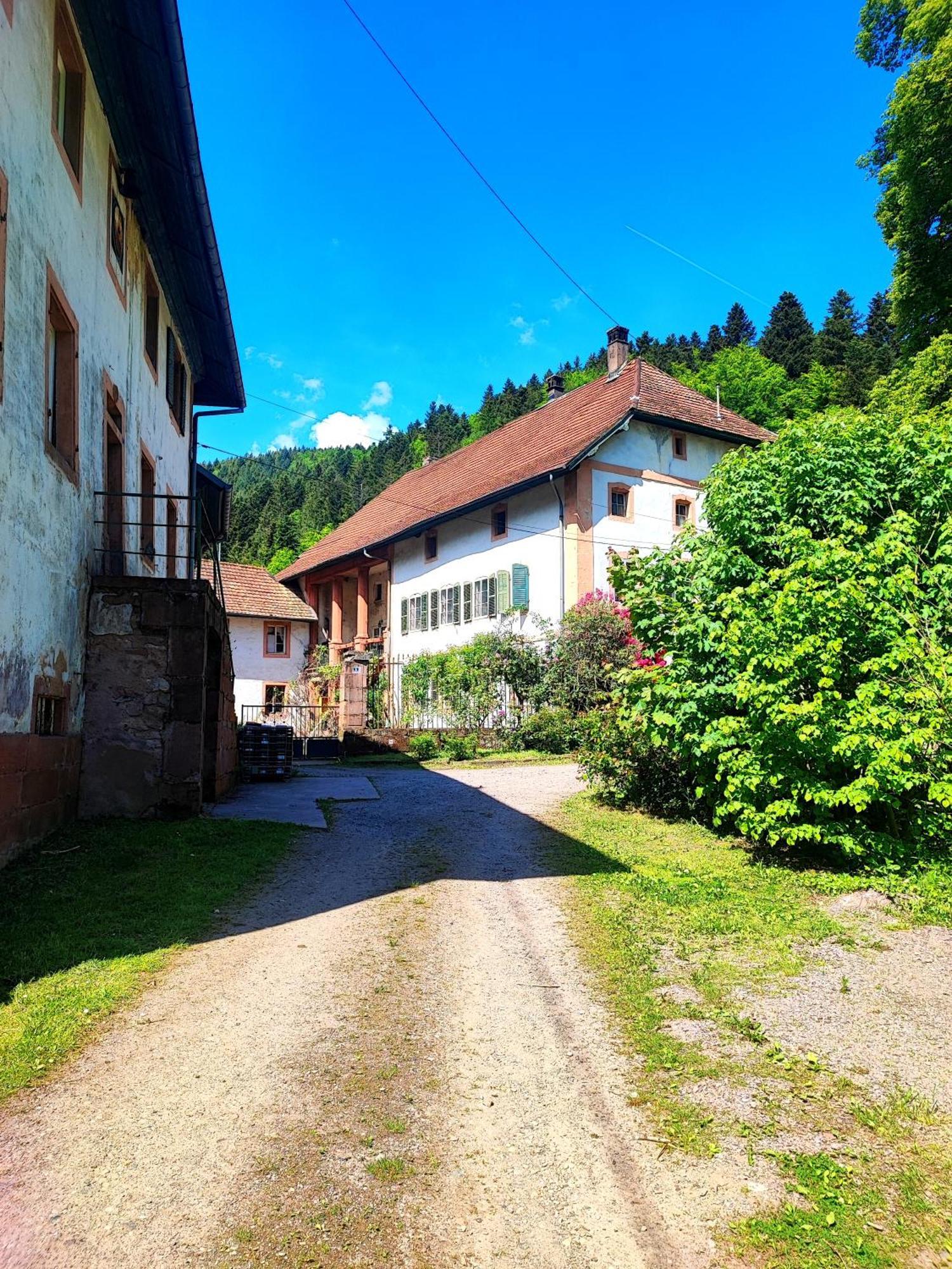 La Demeure Des Forges Lägenhet Grandfontaine  Exteriör bild