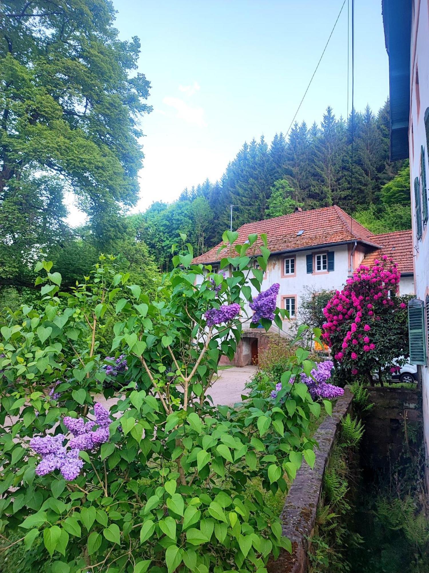 La Demeure Des Forges Lägenhet Grandfontaine  Exteriör bild